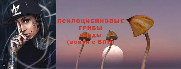 дживик Горняк