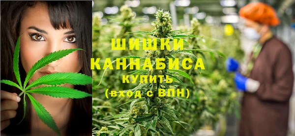 дживик Горняк
